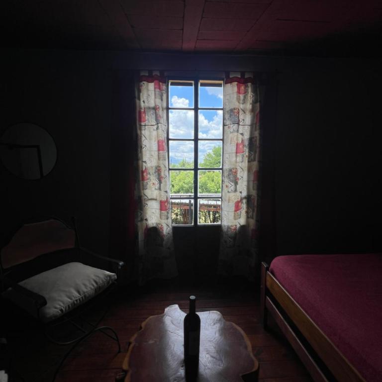 Posada Altos Del Consuelo - Family Room with Private Bathroom - 9