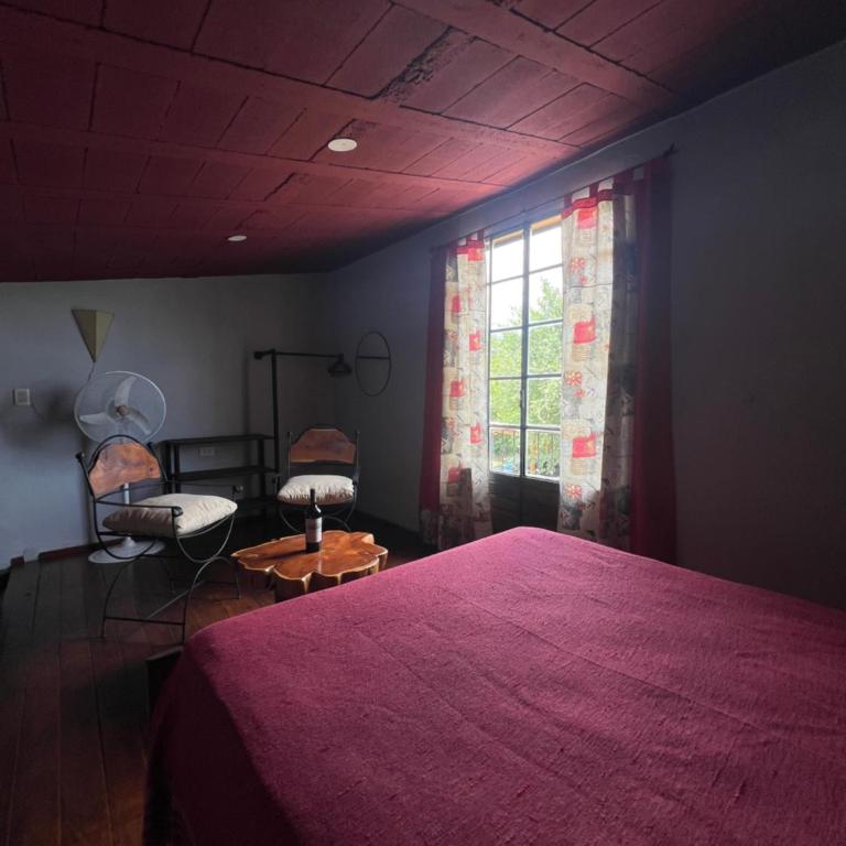 Posada Altos Del Consuelo - Family Room with Private Bathroom - 8