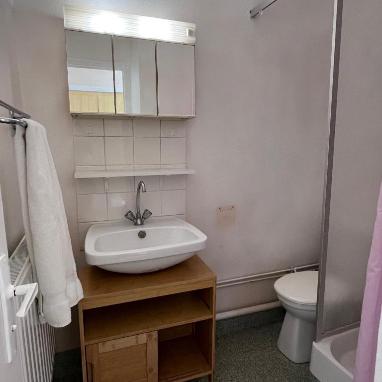 tranquilité montagnarde - Apartamento de 1 dormitorio - 4