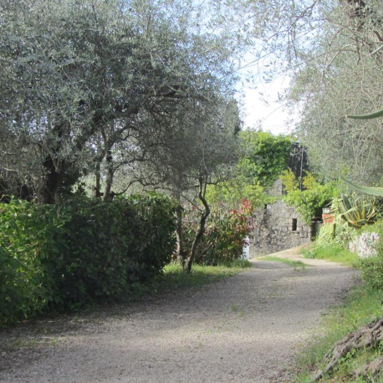 villa des oliviers - Chambre Double - 3