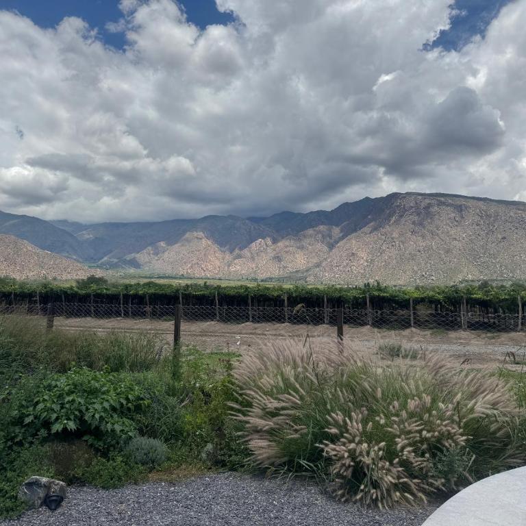 Suit Chalet Cafayate Salta - Two-Bedroom Apartment - 7