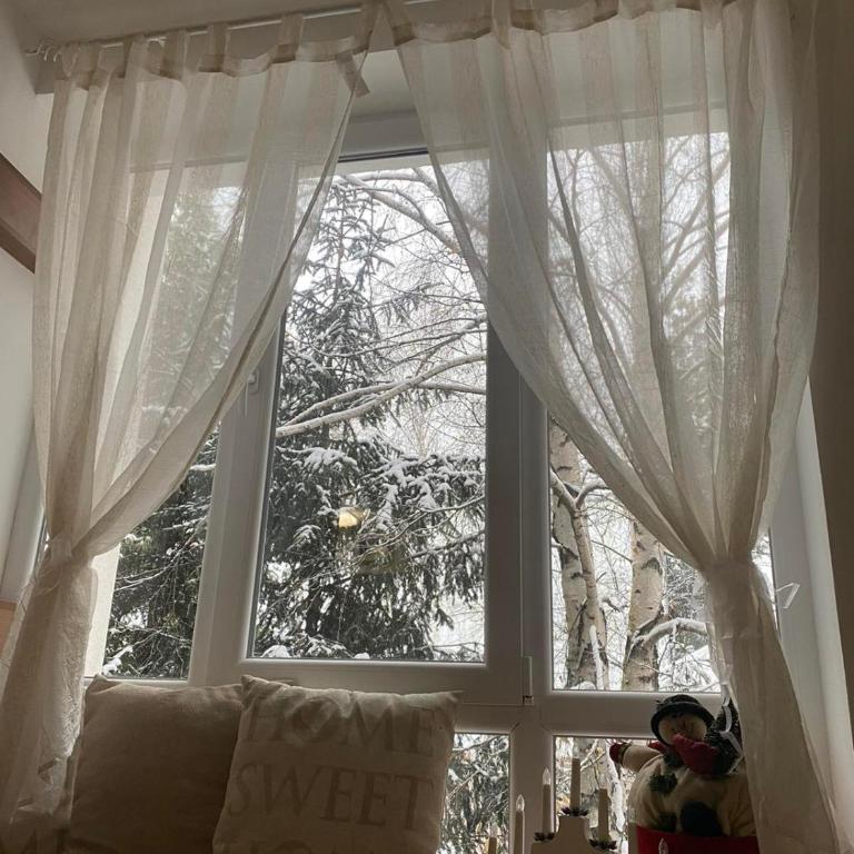 Kopaonik Apartman Nina - Two-Bedroom Apartment with Mountain View - 31