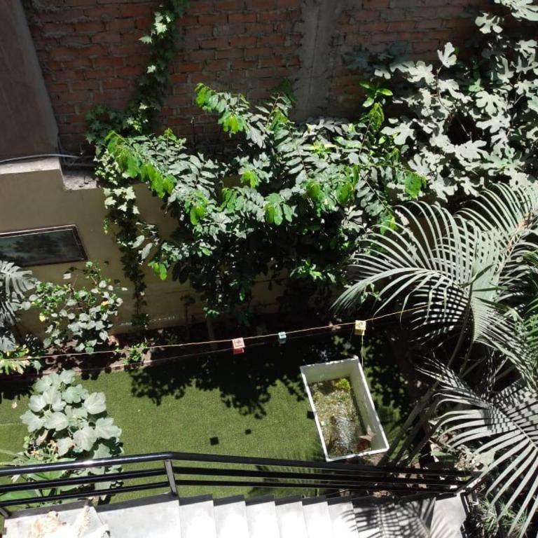 Comfortable stay in Los Olivos - Apartamento de 1 dormitorio - 2