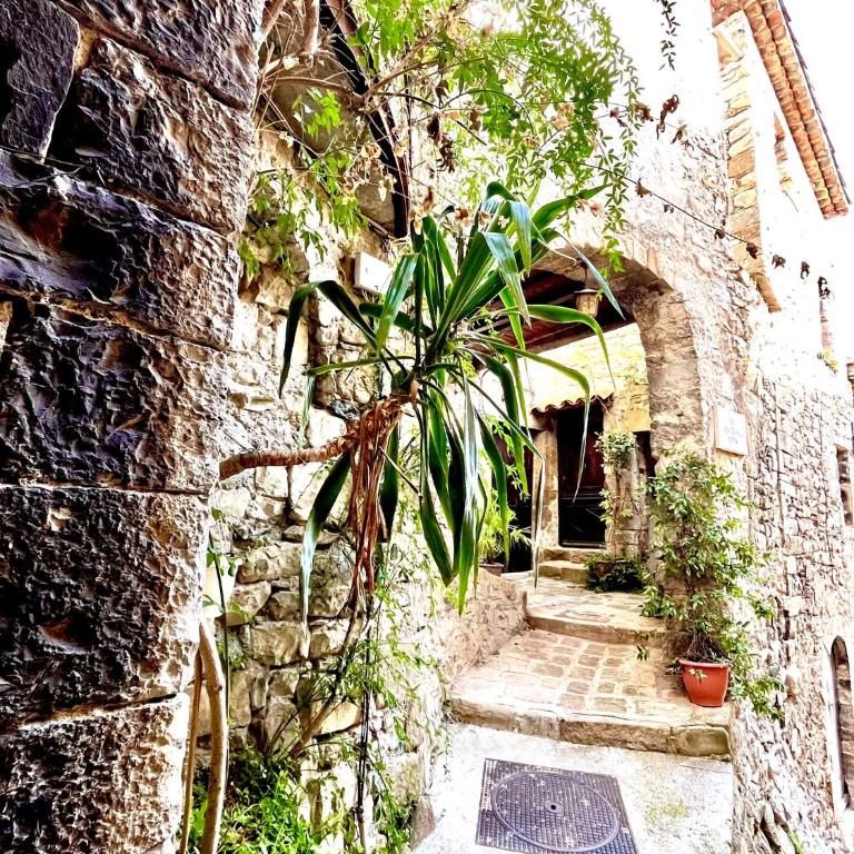 Gite des remparts - Appartement 1 Chambre - 44