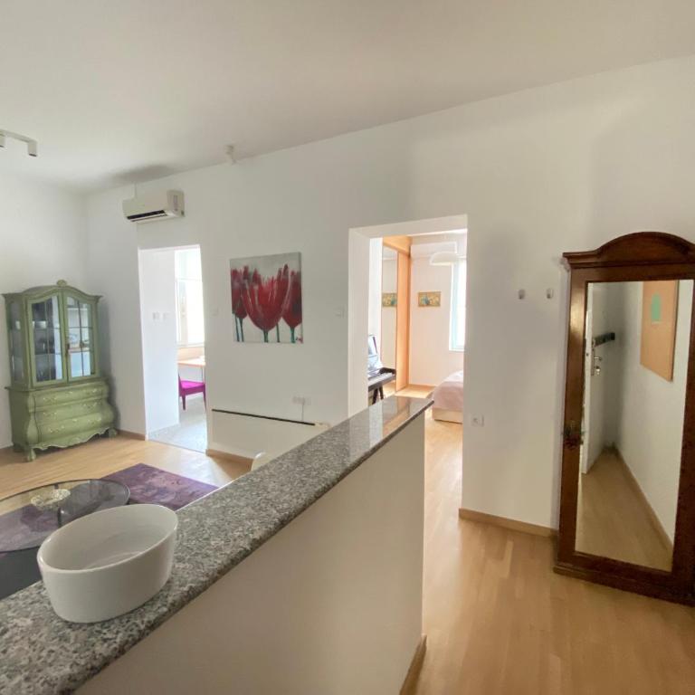 City center salon-style apartment free parking - Apartman sa 1 Spavaćom Sobom - 6