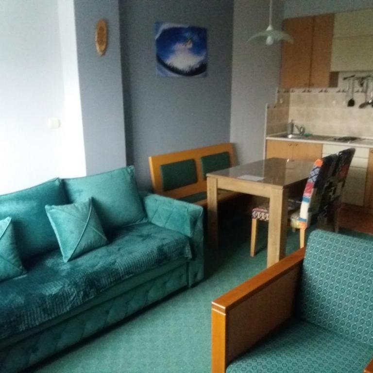 Kopaonik Vila Nikola 306 centar - One-Bedroom Apartment - 1