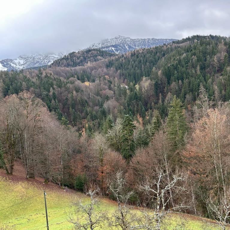 Bergbauernhof Leitenlehen - Apartment mit 1 Schlafzimmer und Balkon - 9