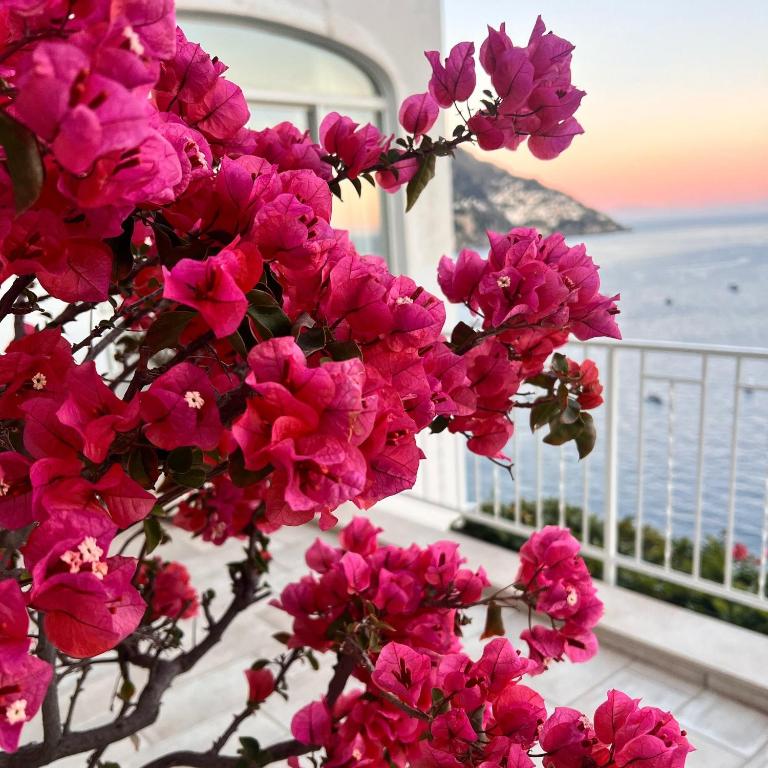 Maison Raphael Positano - Appartamento con 1 Camera da Letto - 54