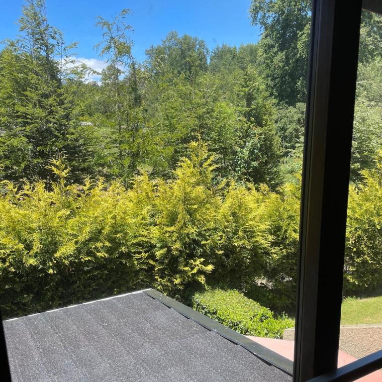 Pucon condominio Alicura - Casa con 1 dormitorio - 17