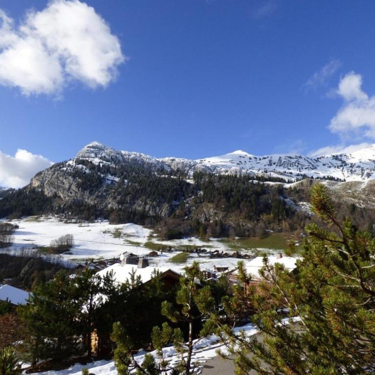 Studio 4 pers, sur pistes, terrasse 15m², Chinaillon - FR-1-458-212 - Studio - 8