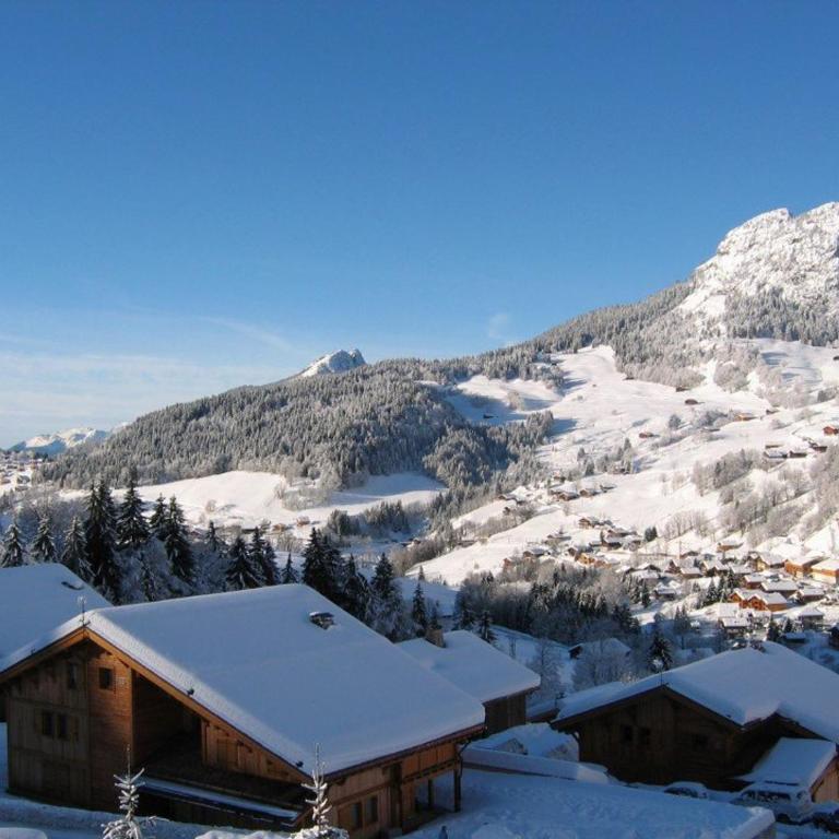 Studio 4 pers, sur pistes, terrasse 15m², Chinaillon - FR-1-458-212 - Studio - 10
