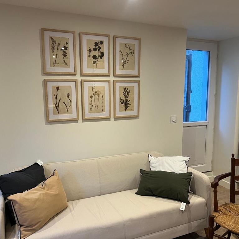 Maison d Albertine, charme, jardin, hyper centre - Maison 3 Chambres - 14