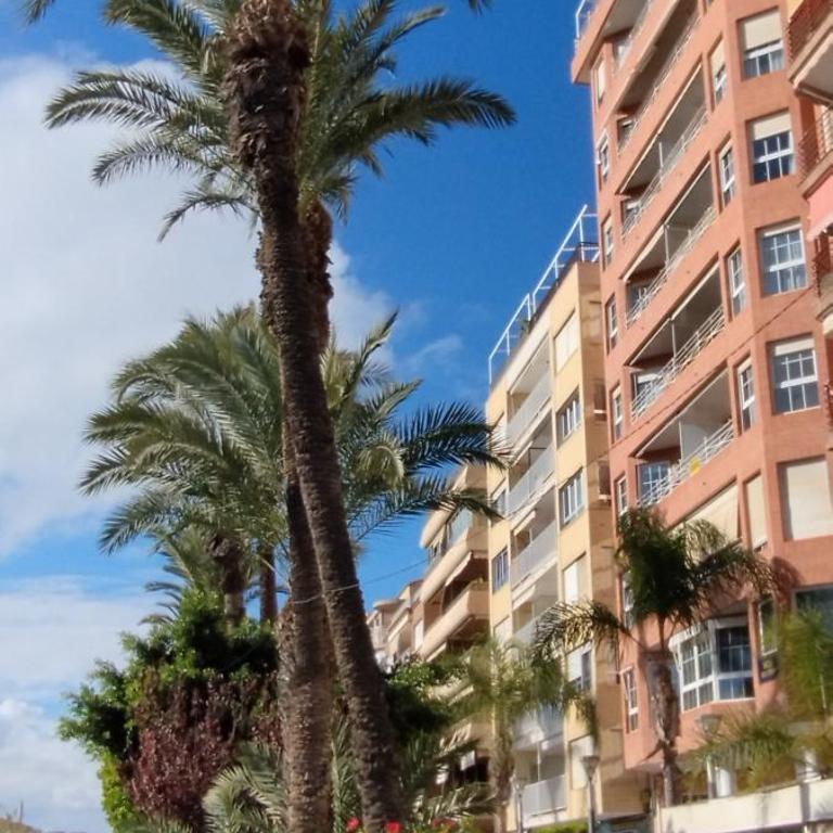 Seaview Torrevieja CityCenter CuraBeach 50m Apartment - Apartment with Sea View - 76