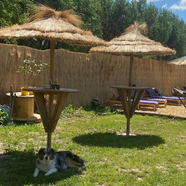 Le Mas des iscles Mallemort - Maison de Vacances - 16