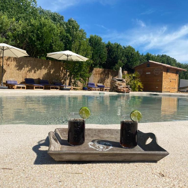 Le Mas des iscles Mallemort - Maison de Vacances - 12