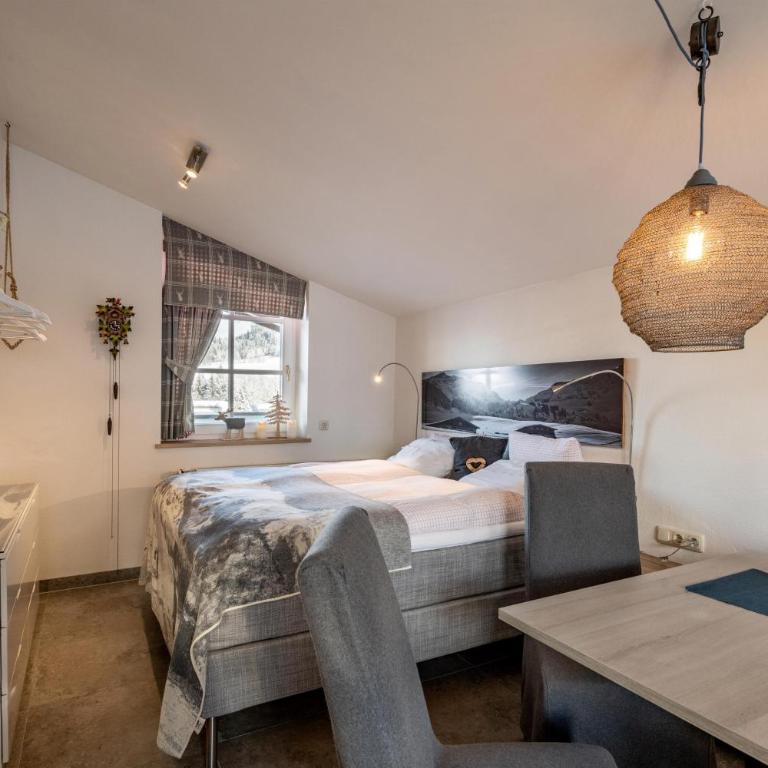 Haus Den Rappen - Studio mit Dusche - 7