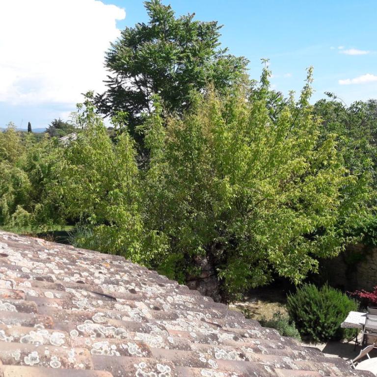 Bastide Sainte Agnès - Chambre Lit King-Size - Vue sur Jardin - 12