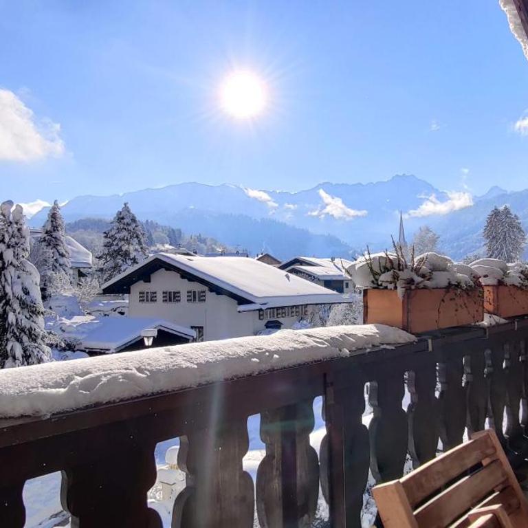 AlpenHorizont - Appartamento con Vista Montagna - 2