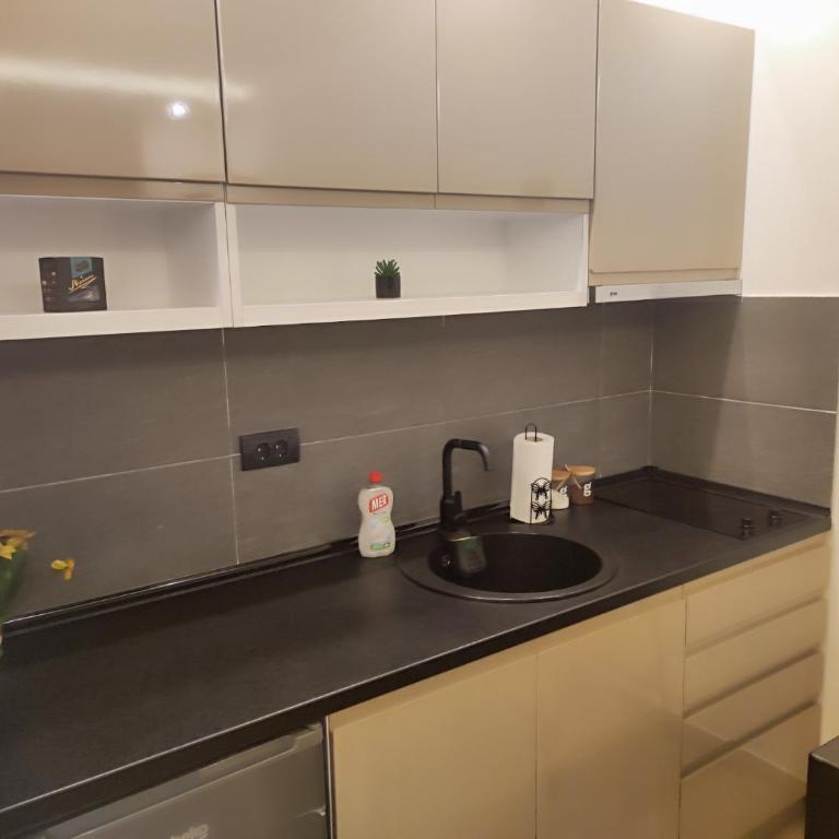 Epic Apartments - Apartman sa 1 Spavaćom Sobom - 14