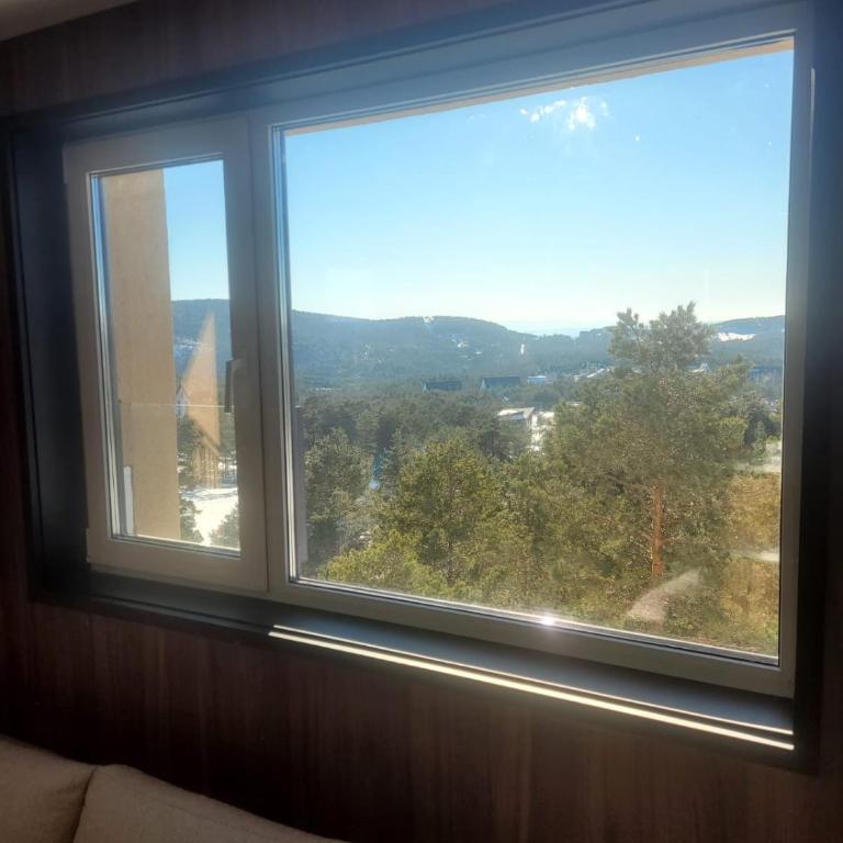 Premium Apartment2 Divcibare - Apartman sa 2 Spavaće Sobe - 20