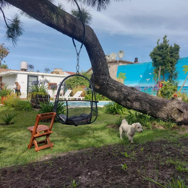 Complejo PARAÍSO CHAPADMALAL - Apartamento de 1 dormitorio - 11