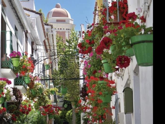 Spacious apartment with terrace and garden close to the sea - Apartamento Deluxe de 3 dormitorios - 30