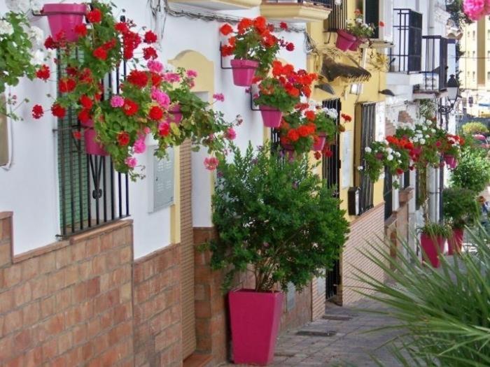 Spacious apartment with terrace and garden close to the sea - Apartamento Deluxe de 3 dormitorios - 31