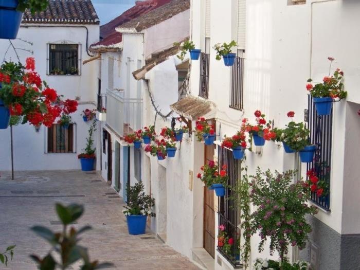 Spacious apartment with terrace and garden close to the sea - Apartamento Deluxe de 3 dormitorios - 32