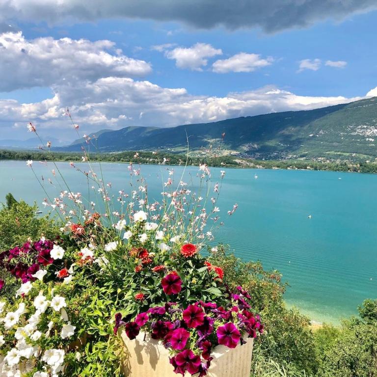 Appartement, 20m du lac Conjux, vue lac - Appartement 2 Chambres - 18
