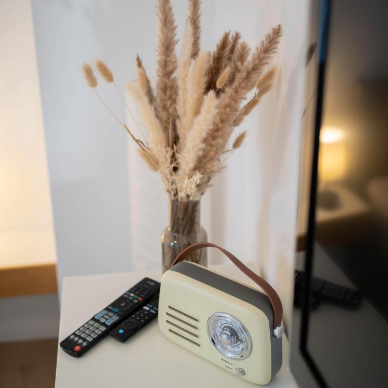 COZY&RELAX APARTMENT-Balkon Küche Parkplatz WIFI Netflix - Apartment mit 1 Schlafzimmer - 15
