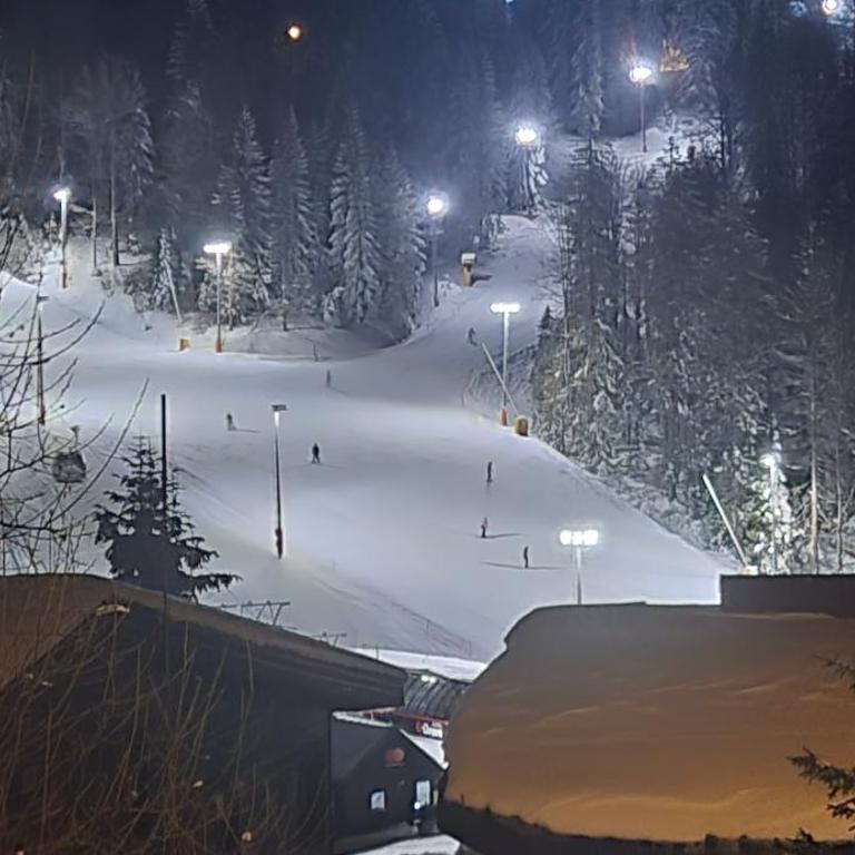Jahorina apartman Košuta D5 - One-Bedroom Apartment - 19