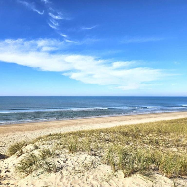 Villa rénovée avec jardin, terrasse, clim et WiFi à Lège-Cap-Ferret - Villa 3 Chambres - 12
