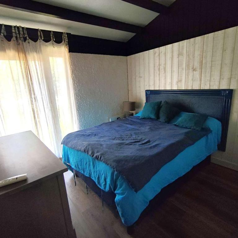 Villa rénovée avec jardin, terrasse, clim et WiFi à Lège-Cap-Ferret - Villa 3 Chambres - 19
