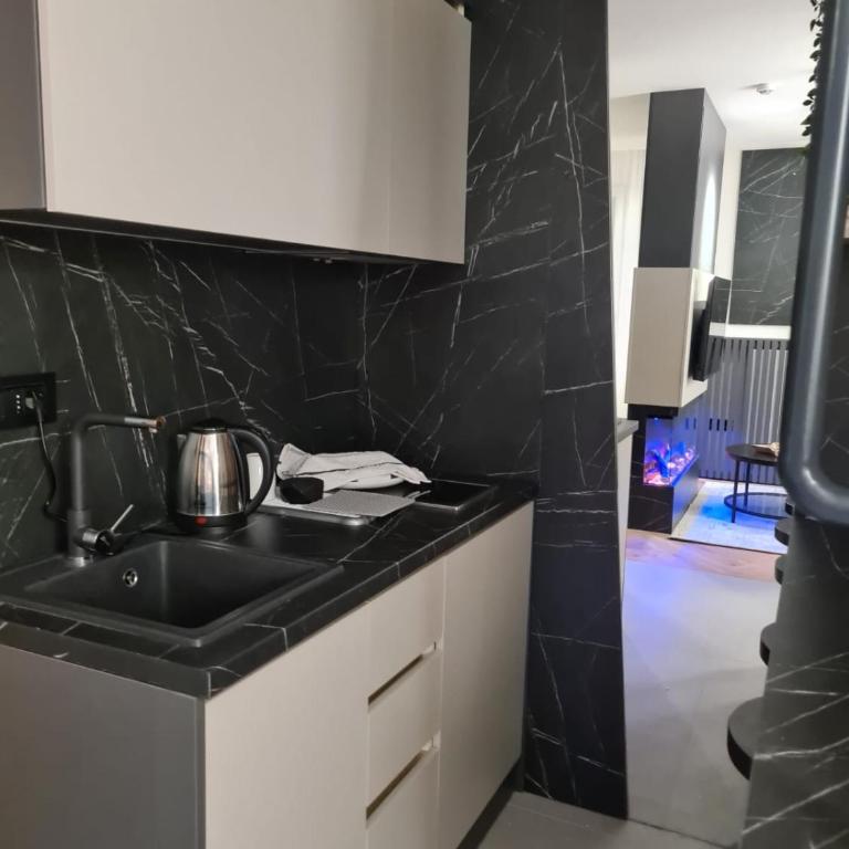 Kristal Lux Violeta - Apartman sa 1 Spavaćom Sobom - 4