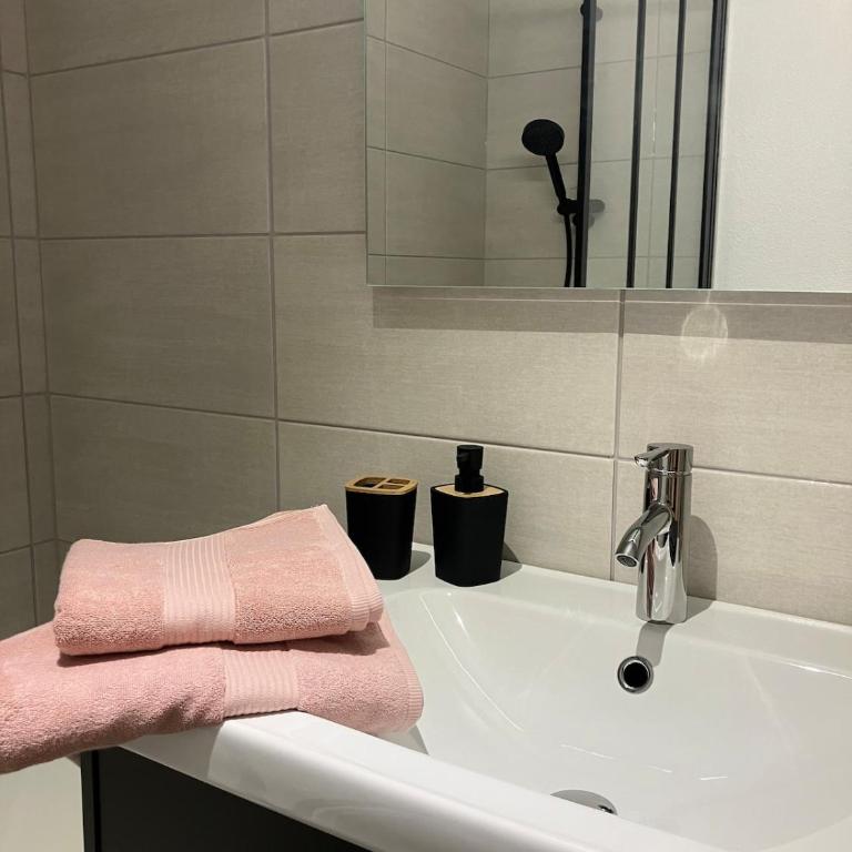 Lovely Mulhouse Apartment - Apartamento de 1 dormitorio - 21
