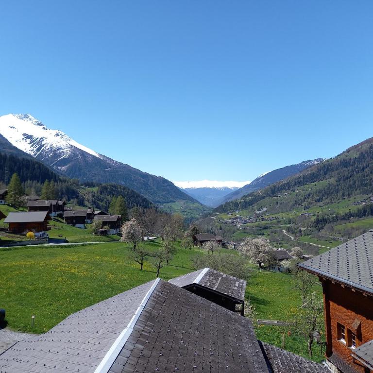 Wohnung mit schöner Sicht auf Bergpanorama und übers Tal - Apartment mit 1 Schlafzimmer - 4