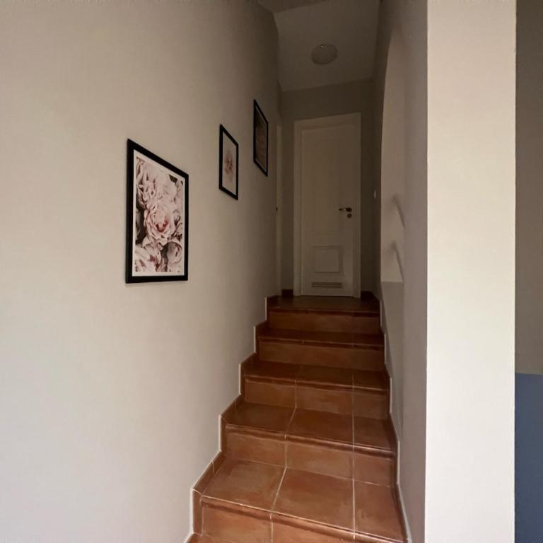 Casa Bubo - Two-Bedroom Apartment - 23