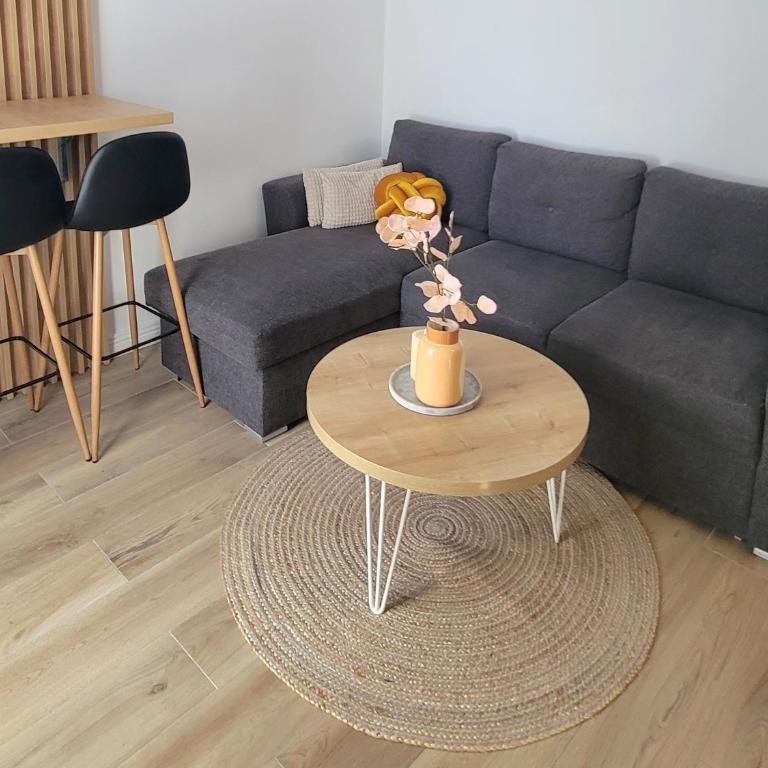 Apartman N&V, Villa Mont Jahorina - Apartman sa 1 Spavaćom Sobom - 6