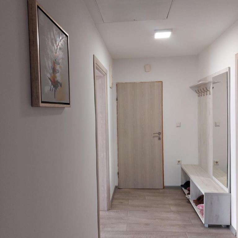 Apartman Milena Pale - dva garazna parking mjesta - Two-Bedroom Apartment - 11