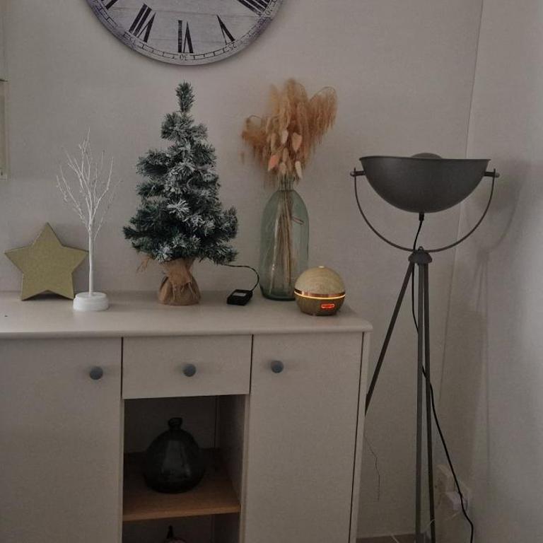 Appartement cosy spacieux parking gratuit en face - Apartment mit 1 Schlafzimmer - 22