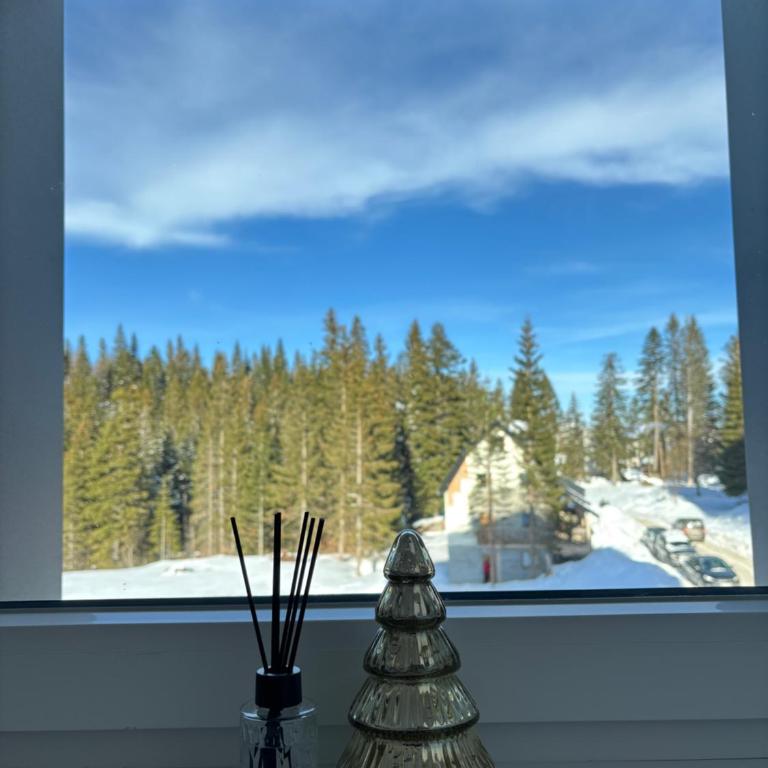 Apartman Elur Jahorina - Apartman sa 1 Spavaćom Sobom - 18