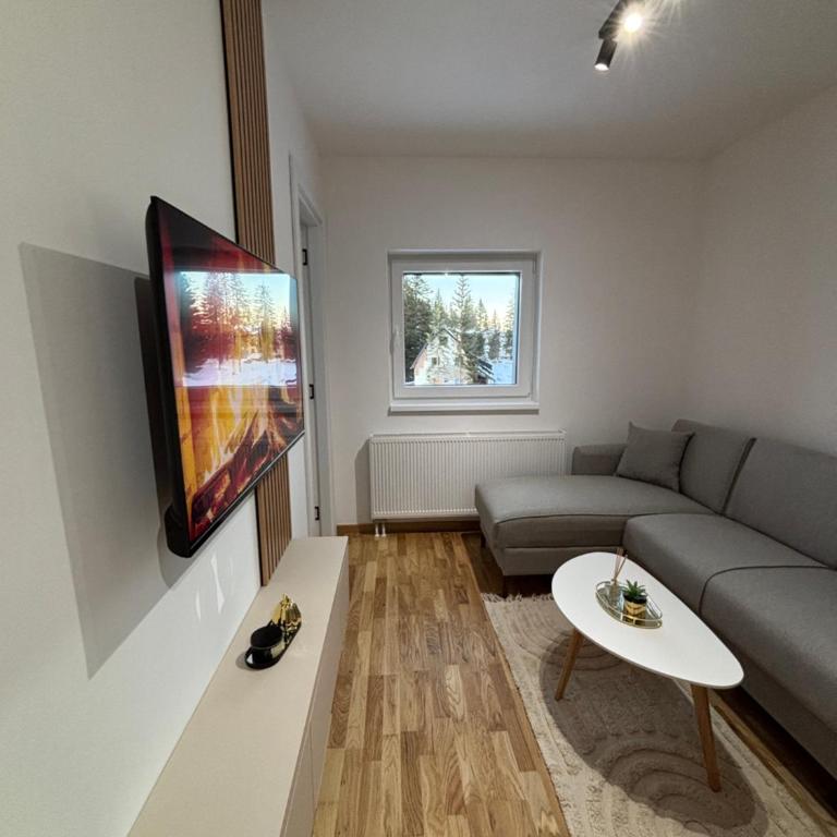Apartman Elur Jahorina - Apartman sa 1 Spavaćom Sobom - 23