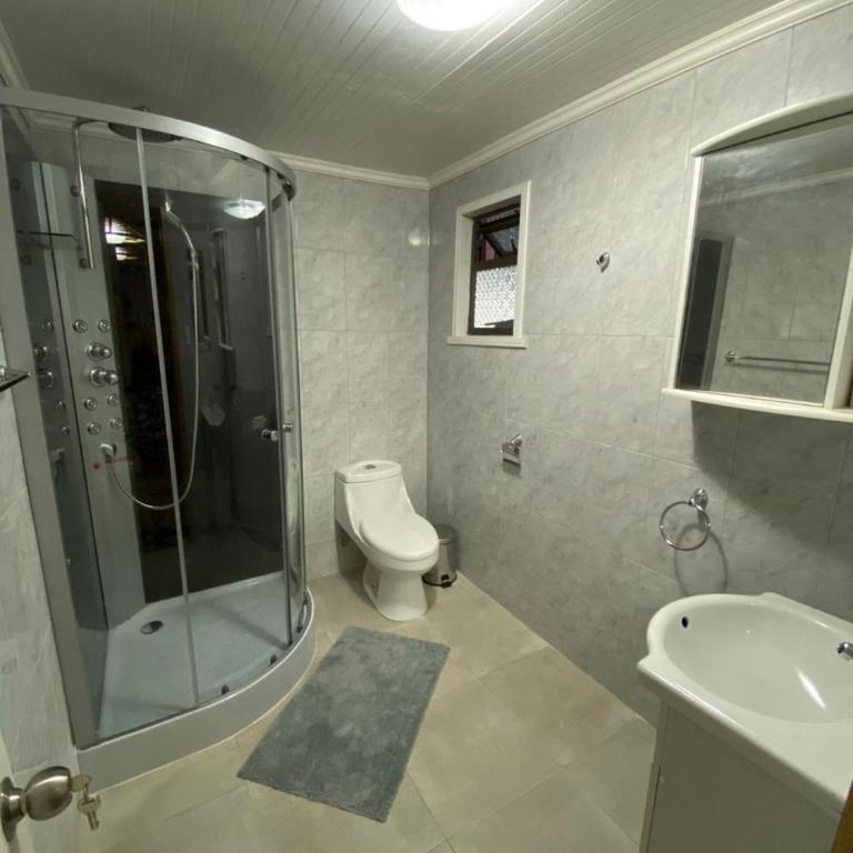 Hospedaje entre Volcanes y Araucarias - Apartamento de 3 dormitorios - 7