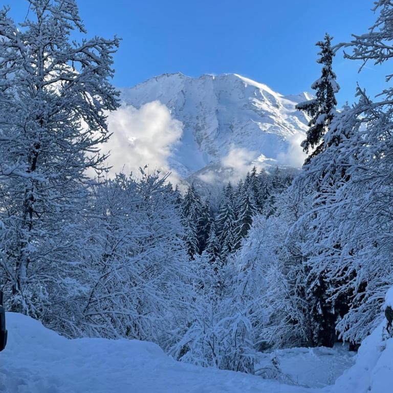 Chalet à Saint-Gervais-les-Bains, 8 personnes, 4 chambres - Apartment - 23