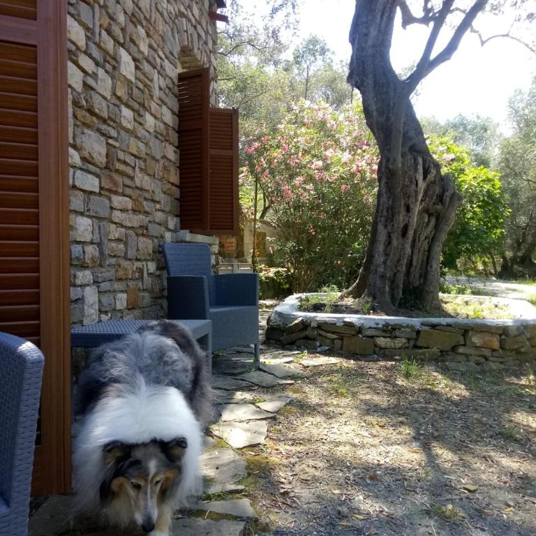 Cottage VIVI tra mare e ulivi - Casa Vacanze con 3 Camere da Letto - 21