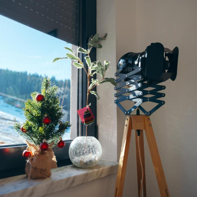 Apartman Fića, Ravna Planina - One-Bedroom Apartment - 10