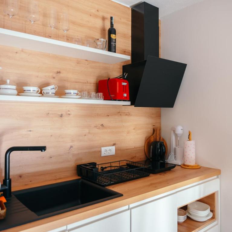Apartman Fića, Ravna Planina - One-Bedroom Apartment - 22