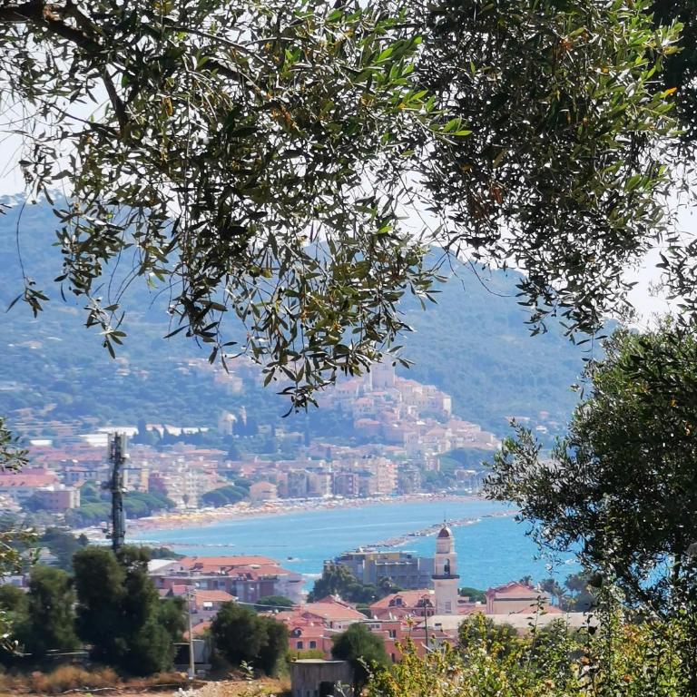 Cottage VIVI tra mare e ulivi - Casa Vacanze con 3 Camere da Letto - 28