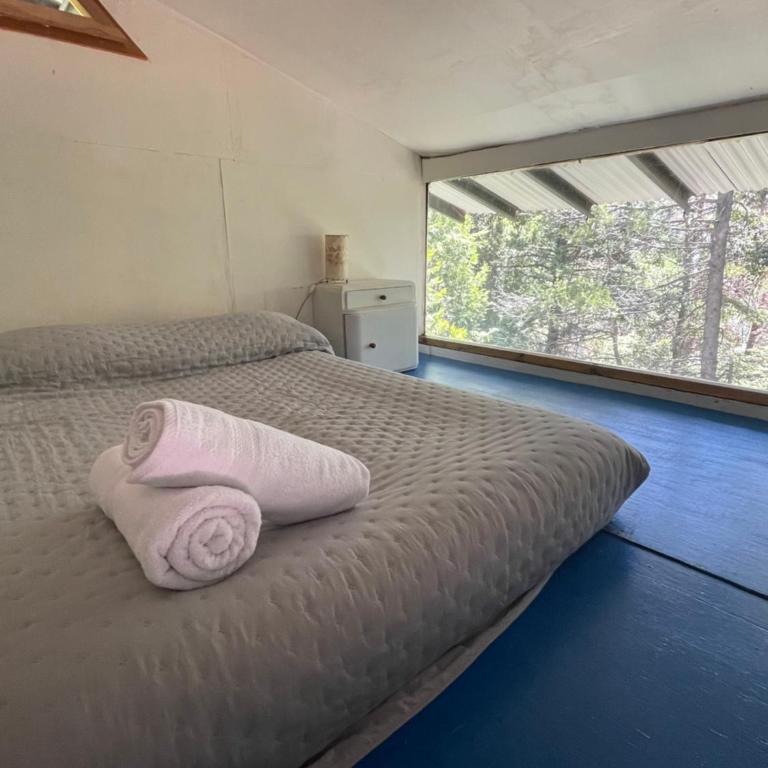 Cabaña Huillin, Experiencia única del Bosque - Apartamento de 1 dormitorio - 4