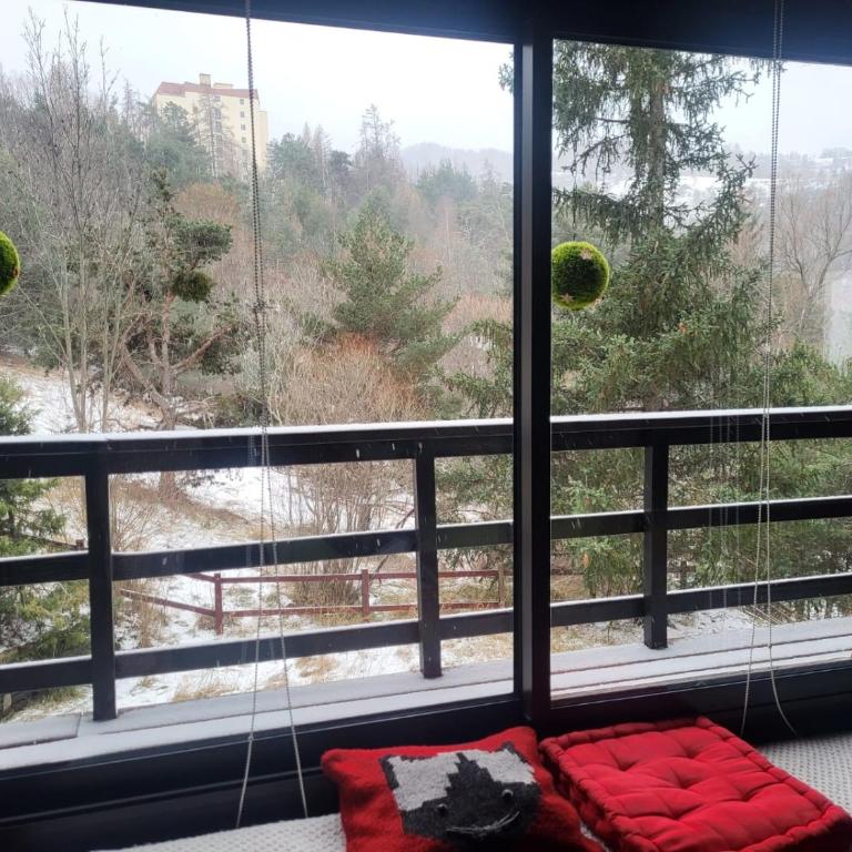 chalet LES GRANDES TERRES - Chalet - 3